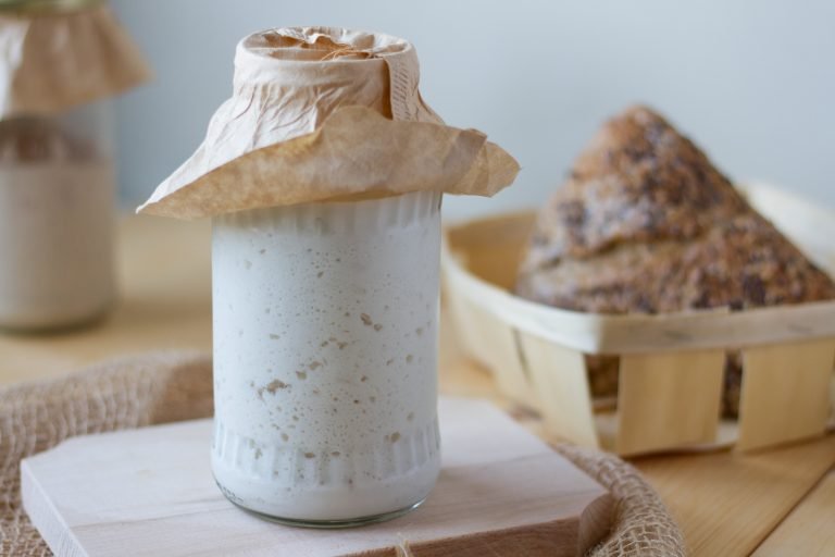 Sourdough gluten-free starter