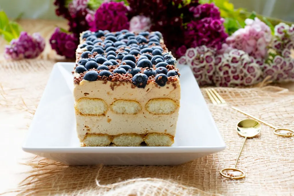 Blueberry cake with ladyfinger biscuits